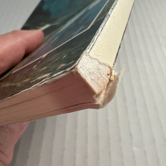 Softcover 1978 Chihuahua A Guide to the Wonderful Country Richard H. Hancock - Picture 3 of 3